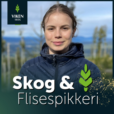 episode Ep16: Lærlingløpet i Viken Skog, ny nettside om rekruttering og ny skogtekniker-utdanning artwork