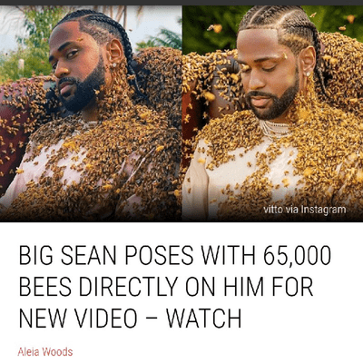 episode Big Sean Covered In 65,000 Bees For A Music Video artwork