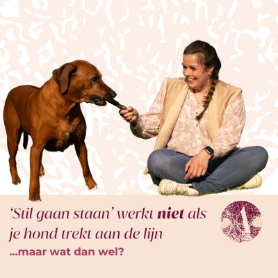 episode ‘Stil gaan staan’ werkt niet wanneer je hond trekt aan de lijn #117 artwork