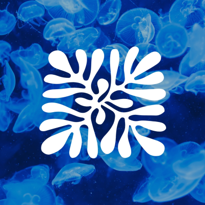 episode Oshen : Tech, Data and Ocean Robots with Anahita Laverack, CEO and Co-founder artwork