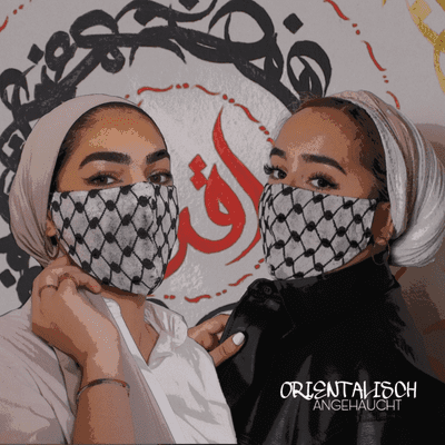 episode Deutschrap, Shirin David und Blackfishing artwork
