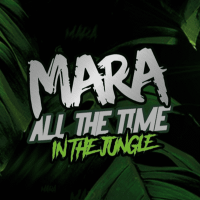 episode BM Radio Show #017 Dj MARA artwork