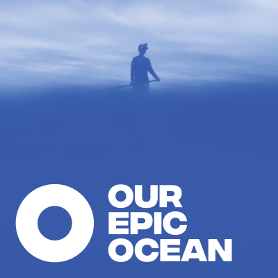 episode Heidi Tait - CEO Tangaroa Blue Foundation. Founder Australian Marine Debris Initiative. | EP 33 artwork