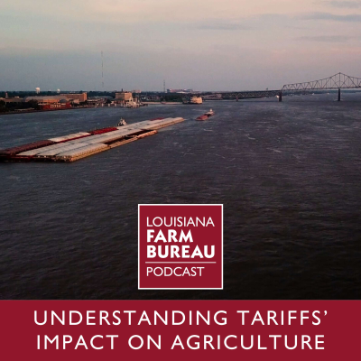 episode Understanding Tariffs' Impact on Agriculture artwork