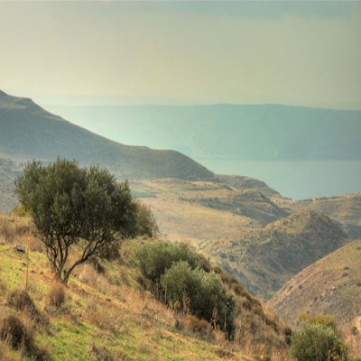 Claiming the Promised Land - Joshua, Judges & Ruth