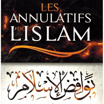 episode Nawaqid Al-islam 06_Abou ibrahim Souleyman Diallo artwork