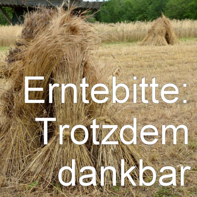 episode Erntebitte 2025: Trotzdem dankbar artwork