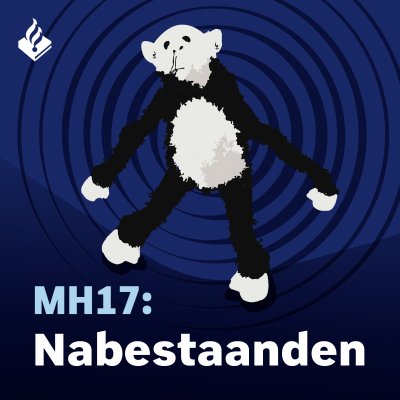 episode Aflevering 3 MH17: De nabestaanden artwork