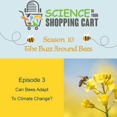 episode Season 10: The Buzz Around Bees | Episode 3: Can Bees Adapt To Climate Change? artwork