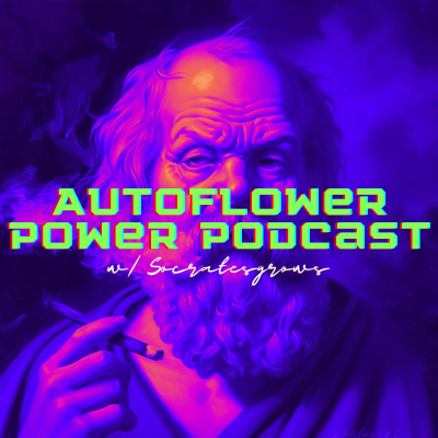 Imagen de portada del programa Autoflower Power