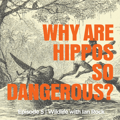 episode Why Are Hippos So Dangerous? artwork