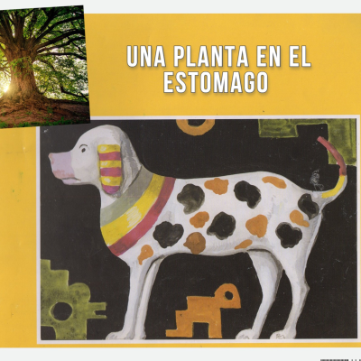 episode Una planta en el estomago (Libros de texto de la SEP) (Lección 32) artwork