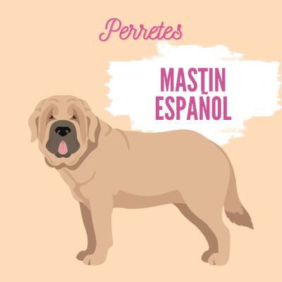 episode Mastín español artwork