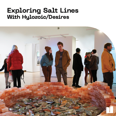 episode Exploring Salt Lines: With Hylozoic/Desires artwork