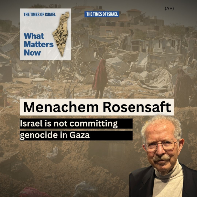 episode What Matters Now to legal expert Menachem Rosensaft: Israel is not committing genocide artwork