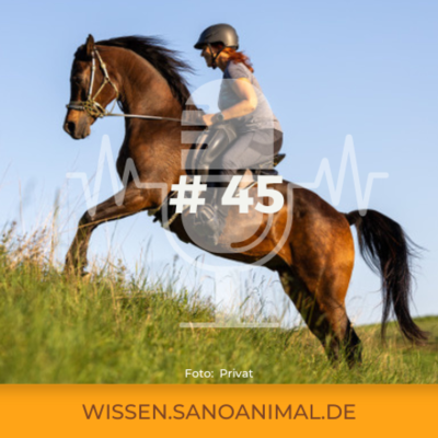 episode Sanoanimal Podcast #45 - Pferdefütterung mal anders braucht Mut! Ein Gespräch mit Annika Rupp artwork