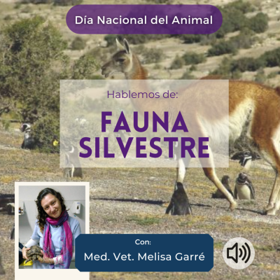 episode Hablemos de Fauna Silvestre artwork