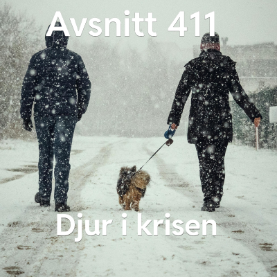 episode 411. Djur i krisen artwork