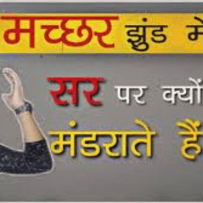 episode मच्छर सर पे क्यों मंडराता है | Why We Still Use QWERTY Keyboards | MKS EP 1 artwork
