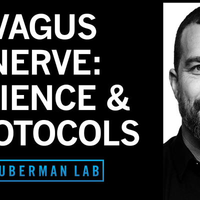 episode Control Your Vagus Nerve to Improve Mood, Alertness & Neuroplasticity artwork