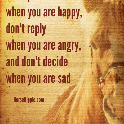 episode In Tune With Your Emotions artwork