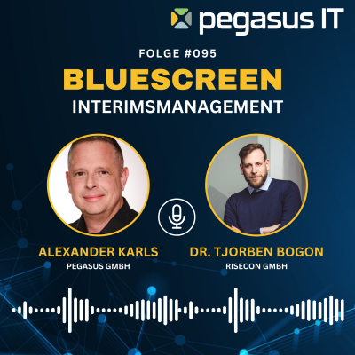 episode 095: Was bedeuten Interims-, Strategie- und Krisenmanagement? Mit Dr. Tjorben Bogon (risecon GmbH). artwork