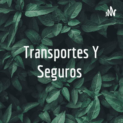 Transportes Y Seguros