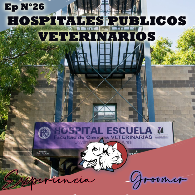 episode Episodio N°29 | HOSPITAL PUBLICO VETERINARIO artwork