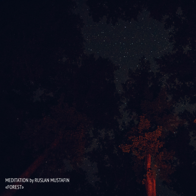 episode MEDITATION - NIGHT IN THE FOREST artwork