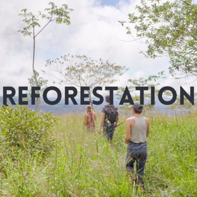 episode Reforestation: Relationships of Care - with Megan Brown and Deb Hamilton artwork