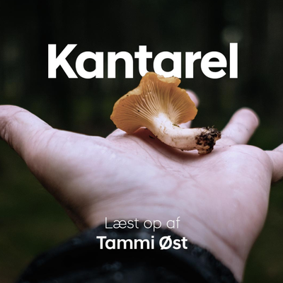 episode Kantarel jagt artwork