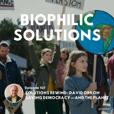 episode Solutions Rewind: David Orr on Saving Democracy—and the Planet artwork