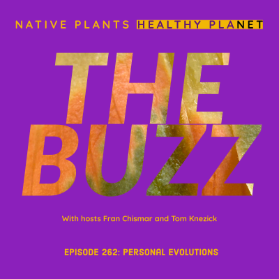 episode The Buzz - Personal Evolutions artwork