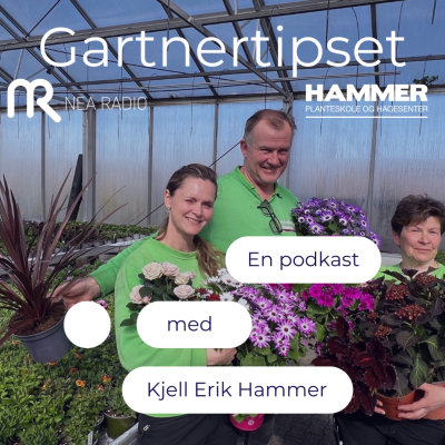 Gartnertipset i Nea Radio