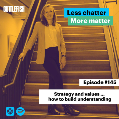 episode #145 Strategy and values … how to build understanding artwork