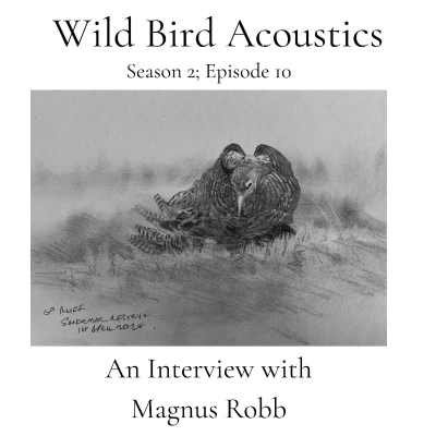 episode An Interview with Magnus Robb artwork