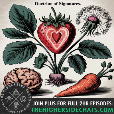 episode Dr. Barre Lando | The Doctrine of Signatures, Toroidal Earth, Mt. Shasta, & The Royal Tetons artwork