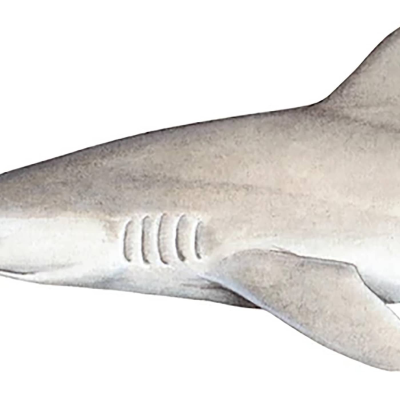 episode Lost Shark & hajarnas Hades artwork