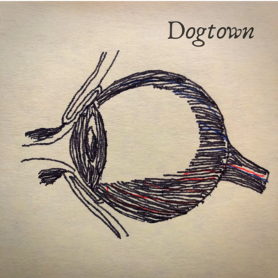 episode Dogtown: Episode 3 - Inflections artwork
