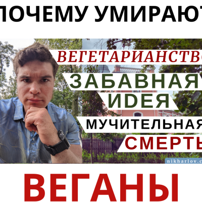 episode Фруктоедение, Веганство, Вегетарианство Забавная идея - мучительная смерть. Индуцированный Бред. artwork