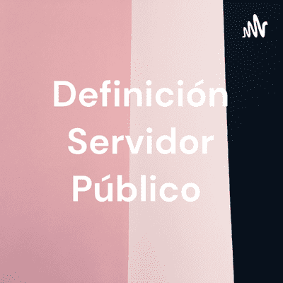 Definición Servidor Público