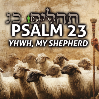 episode Psalm 23 - YHWH My Shepherd artwork