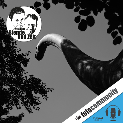 episode 404 - Lars und Falk beantworten Eure Fragen! artwork