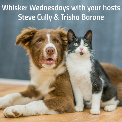 episode Whisker Wednesday Episode 003 artwork