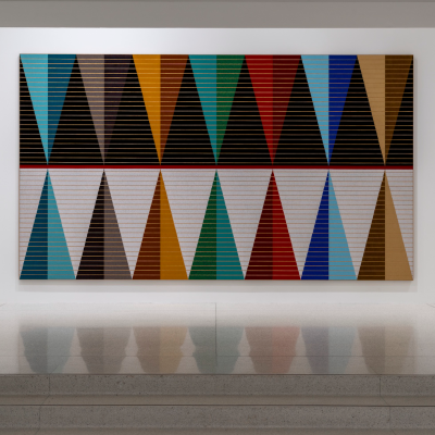 episode Dyani White Hawk artwork