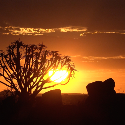 episode AFRO HOUSE SUNSET MIX with Rivo, Disclosure, Zerb A Sound Experience Beyond Burning Man artwork