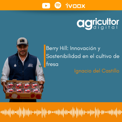 episode Berry Hill: Innovación y Sostenibilidad en el cultivo de fresa #57 - Agricultor Digital artwork