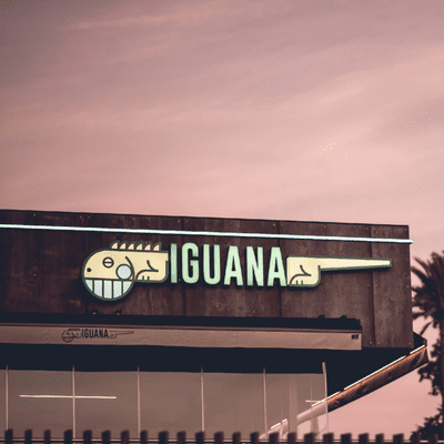 Iguana Sunset