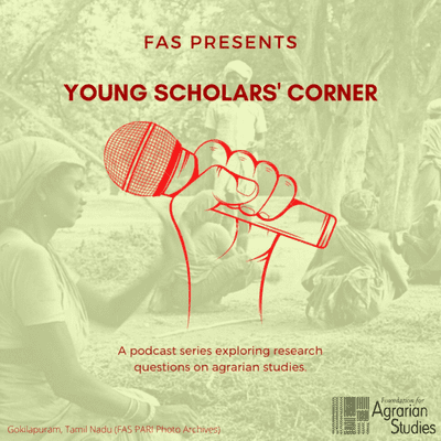 FAS Young Scholars' Corner