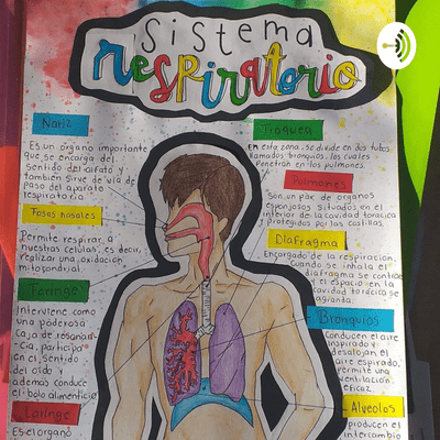 Sistema Respiratorio